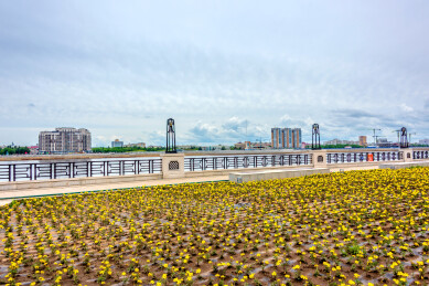 中国黑龙江黑河市大黑河岛风光