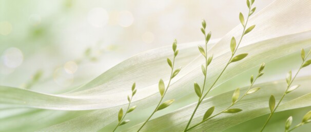 草穗光流科技自然发布会背景主视觉
