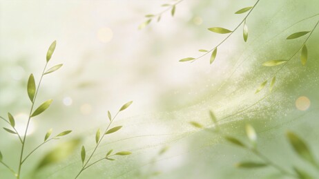 草穗光流科技自然发布会背景主视觉