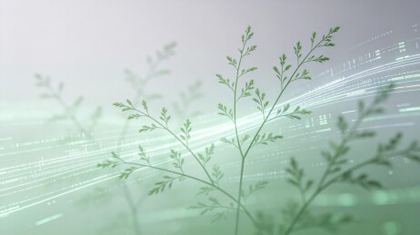 草穗光流科技自然发布会背景主视觉