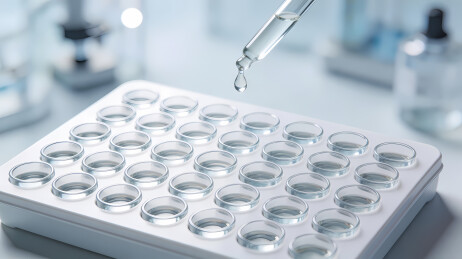 白色多孔板滴液实验