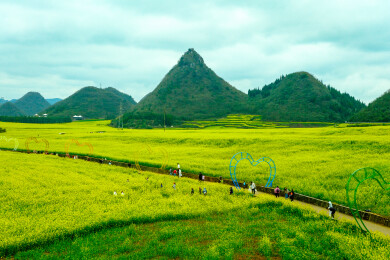 中国云南罗平金鸡峰丛景区，罗平油菜花