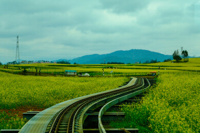 中国云南罗平金鸡峰丛景区，罗平油菜花