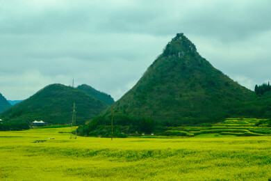 中国云南罗平金鸡峰丛景区，罗平油菜花 
