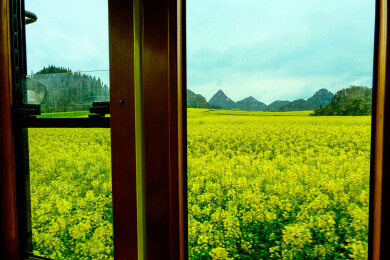 中国云南罗平金鸡峰丛景区，油菜花，国家4