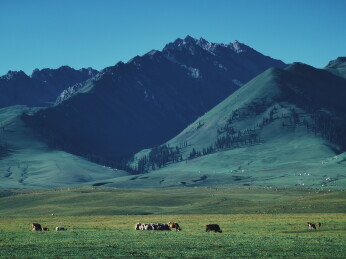 新疆那拉提草原风光