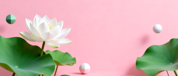 粉色背景下的白莲与绿叶