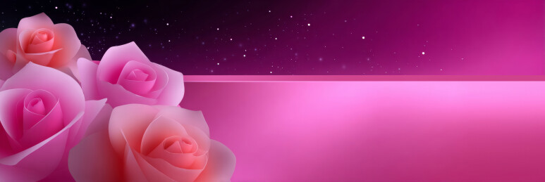 星空下的粉色玫瑰