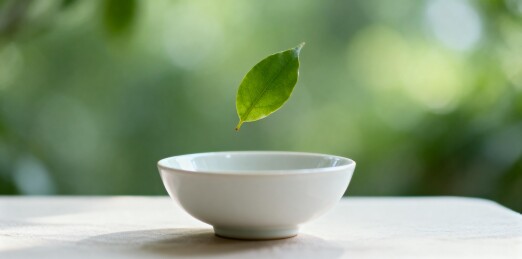 绿叶悬于白瓷碗上