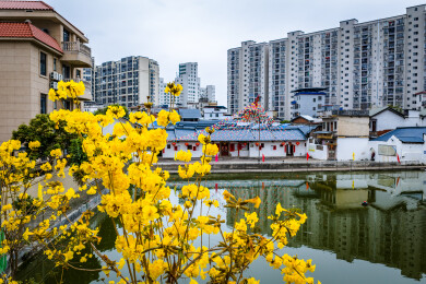 中国广东省梅州市兴宁市兴田街道朝天围