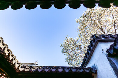中国江苏苏州艺圃早春风光