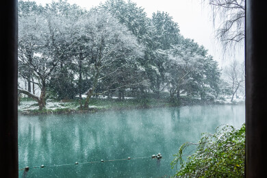 杭州花港观鱼公园雪韵