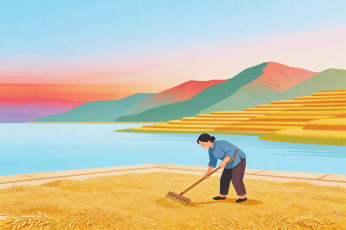 湖边妇女收割小麦插画
