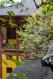 广西贵港南山寺风光