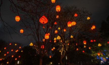 夜空中的灯笼树
