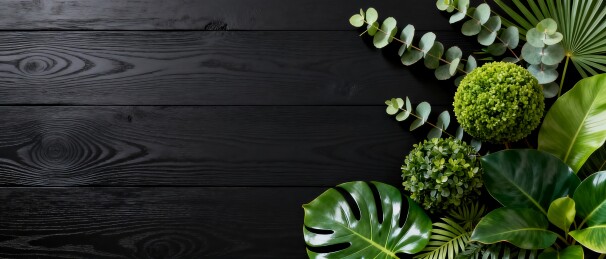 热带绿植黑金质感装饰主视觉