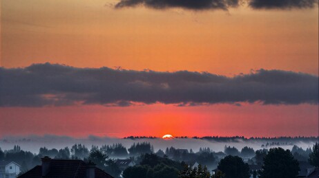 日出时分的乡村晨雾与霞光