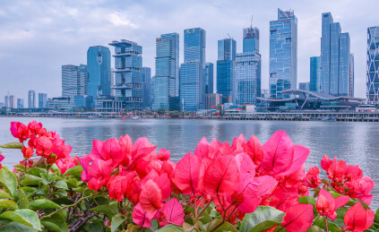 广州磨碟沙现代城市江景