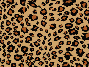 经典复古棕色豹纹动物纹理印花背景