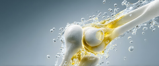 关节与液体的动态交互