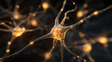 神经元细胞发光传递信号的微观世界