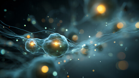 神经元信号传递的微观世界