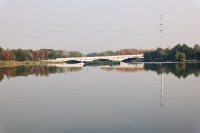 一艘内河运输船划过湖畔秋景中的桥梁倒影