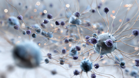 神经元细胞网络结构示意图