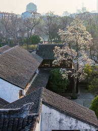 中国江苏苏州园林耦园春季风光