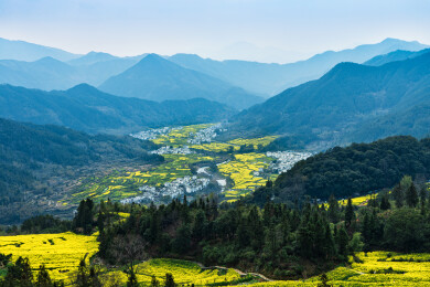 中国江西婺源江岭油菜花田航拍