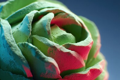 一株盛开的红色玫瑰花3D橡皮泥卡通立体画