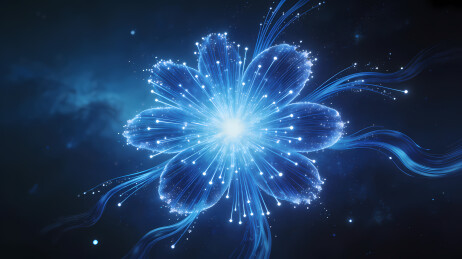 发光星芒蓝花
