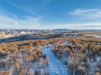 阿尔山雪后森林蜿蜒公路