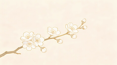 梅枝白花含苞待放