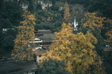 四川大邑白岩寺秋日银杏环绕古寺
