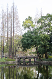 春初游玩场景