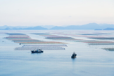 福建霞浦海上养殖渔排与作业渔船