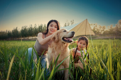 母女与金毛犬在草地上