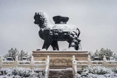 雪中的沧州狮城广场及铁狮子