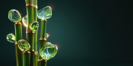 黑背景下精致高级的镶宝石的3D立体富贵竹