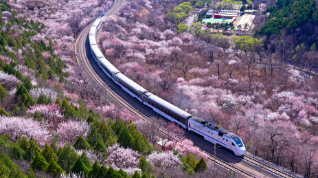 居庸关花海列车