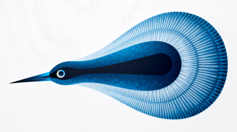 抽象鸟创意广告设计的数字插画艺术