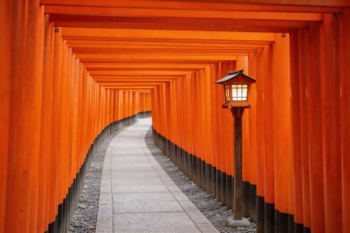 橙色鸟居长廊光影通道