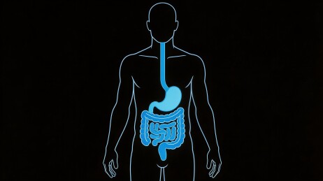 人体消化系统结构图