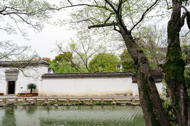 苏州可园江南园林水景，白墙黛瓦院墙