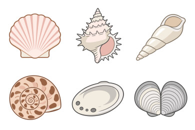 各种海洋贝壳海螺矢量插画集合