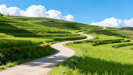 蜿蜒小路穿行于层层梯田间