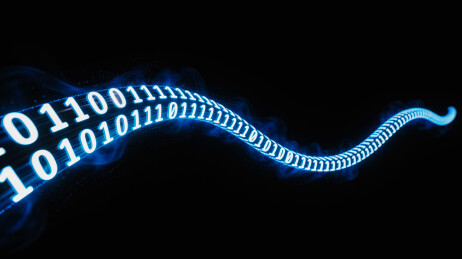 二进制代码数字蛇形结构
