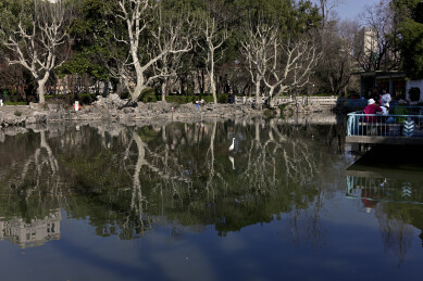 复兴公园冬天的湖景