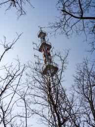 大悟泉水山庄林隙塔影捕捉